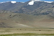 07 valle